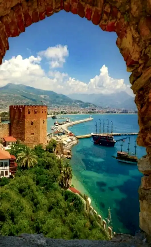 Vip Transfer - Vibu Transfer