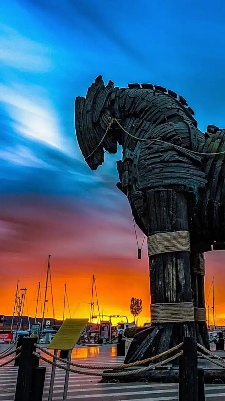 Vip Transfer - Vibu Transfer