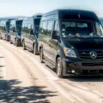 freepik__retouch__64365-min