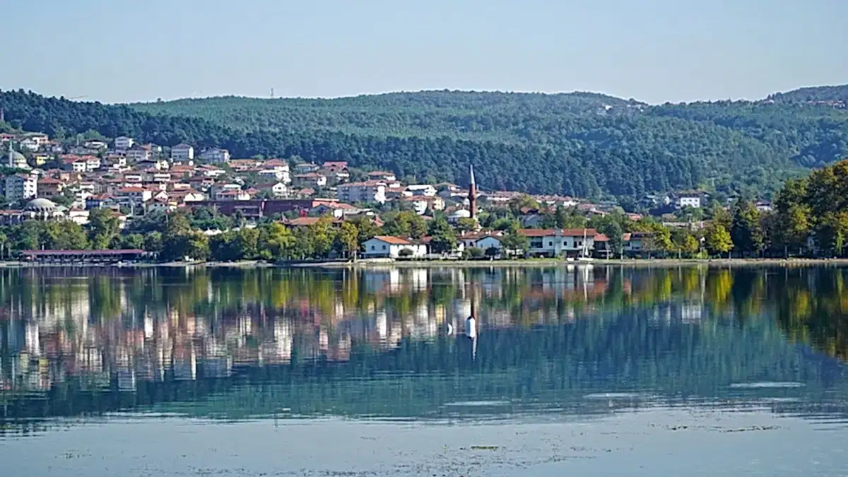 Vip Transfer - Vibu Transfer