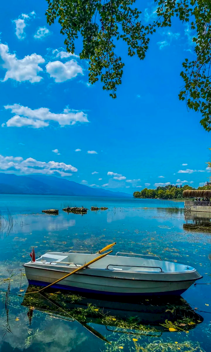 Vip Transfer - Vibu Transfer