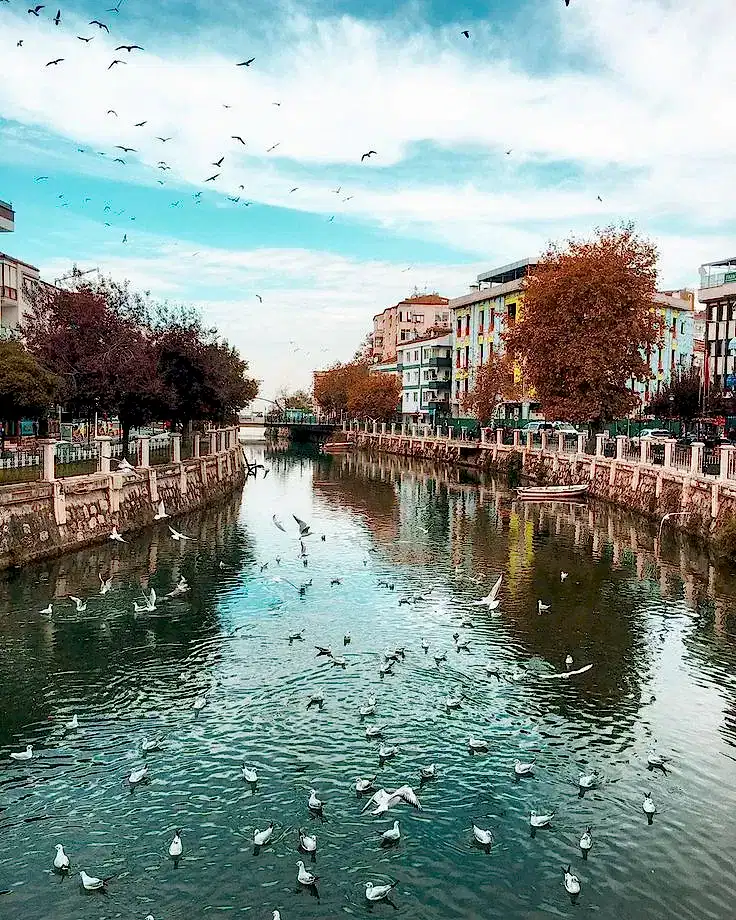 Vip Transfer - Vibu Transfer