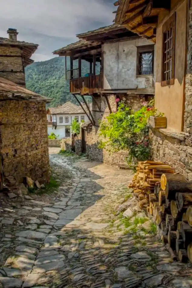 Vip Transfer - Vibu Transfer