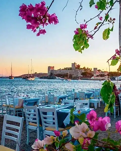 Vip Transfer - Vibu Transfer