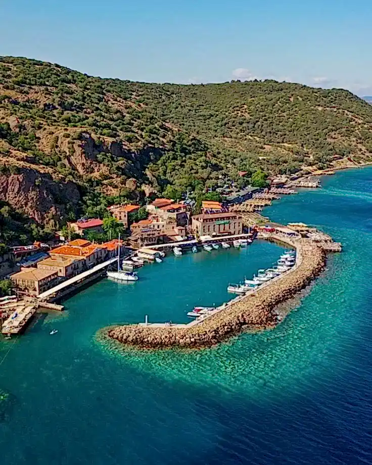 Vip Transfer - Vibu Transfer