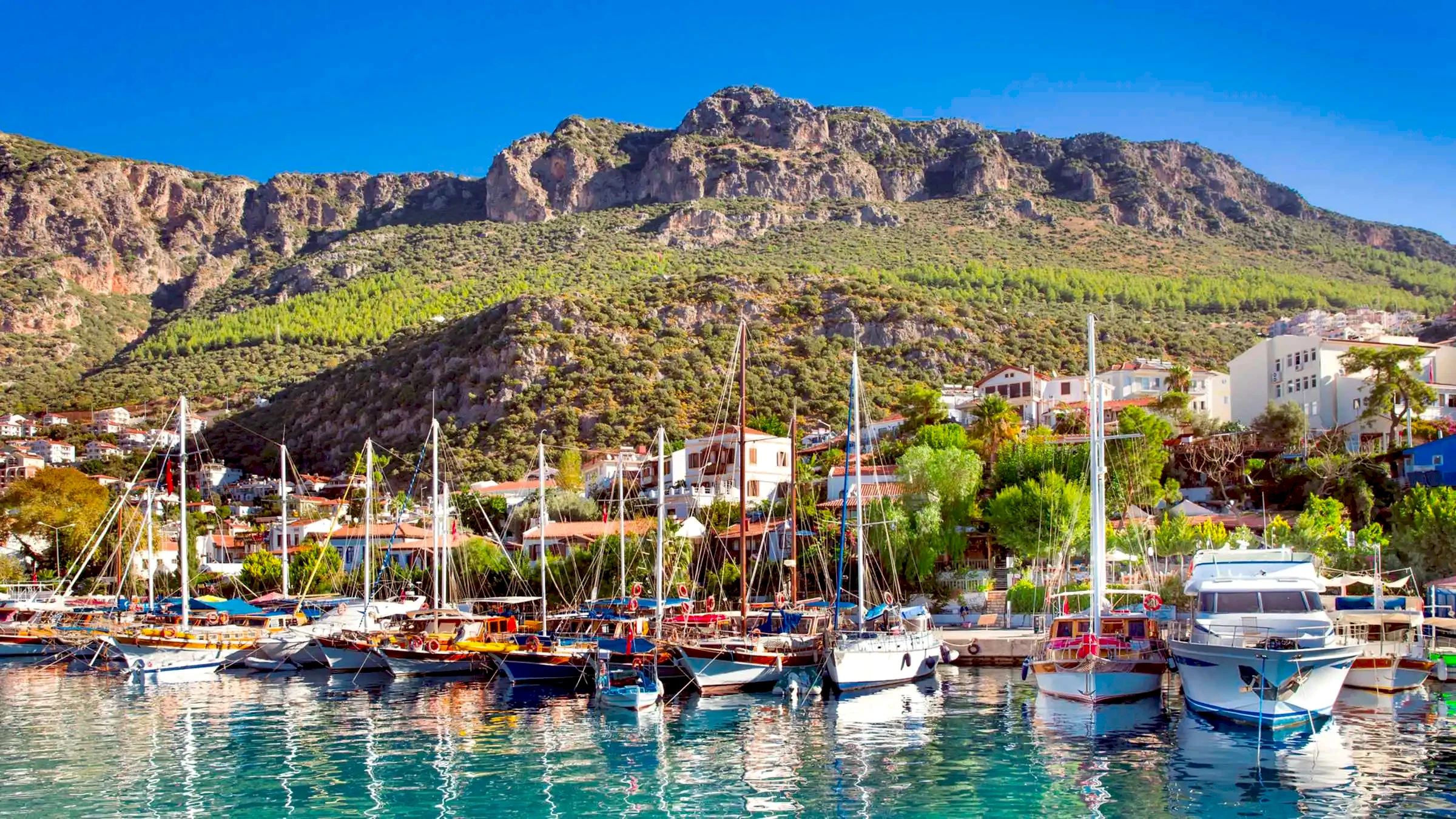 Vip Transfer - Vibu Transfer