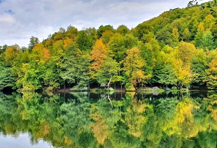 Vip Transfer - Vibu Transfer