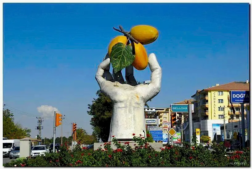 Vip Transfer - Vibu Transfer