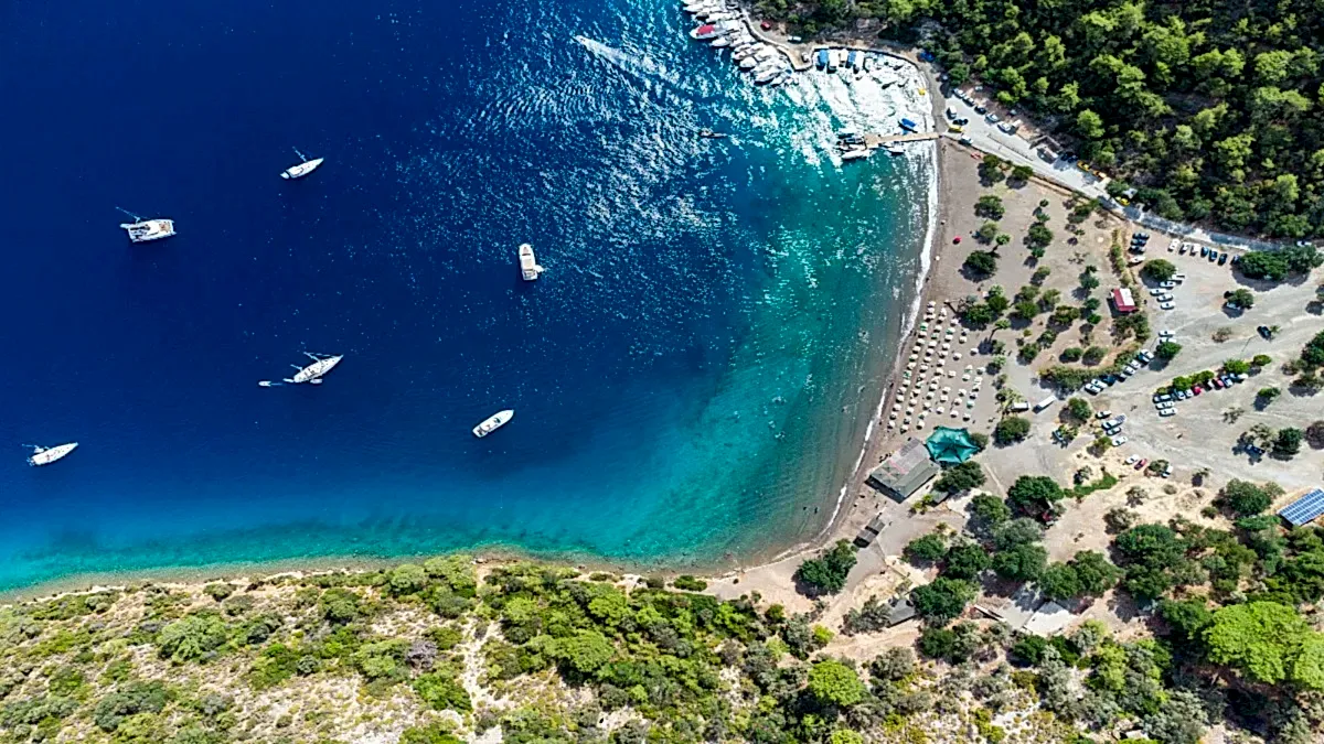 Vip Transfer - Vibu Transfer