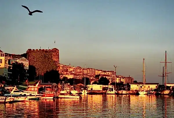 Vip Transfer - Vibu Transfer